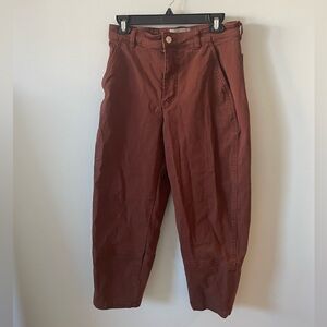 Everlane The Utility Barrel Pant in Brown